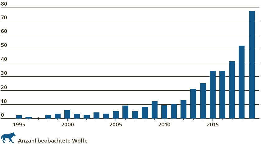 Eine Grafik zur steigenden Wolfspopulation in der Schweiz; Foto: www.uvek.ch (28.04.23) 